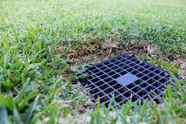 Yard Drainage Inspection