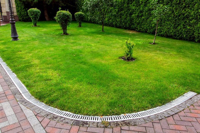 Residential Yard Drainage